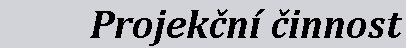 Projekční činnost